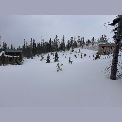 Cabin Rental